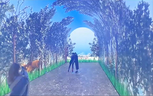 四季沉浸体验馆